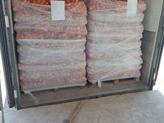 Sprzedam cebulę żółtą , import z Uzbekistanu. Klasa 1,