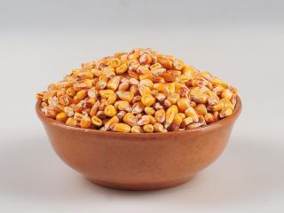 "AGROVEST GROUP" Sp. z oo oferuje do sprzedaży orkisz