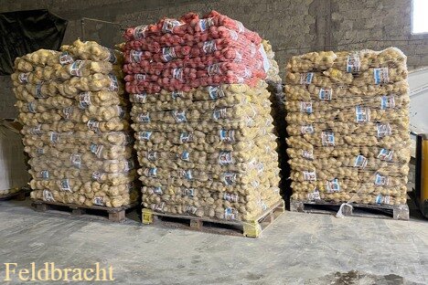 Posiadamy na stanie 125 ton niemieckich ziemniaków żółtych pakowanych w siatki po 10kg