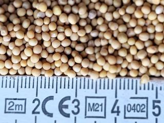 AGROTIDA została założona w 1994 roku i zarządza gruntami