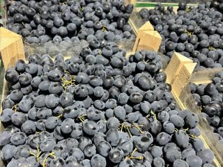 Rozkoszuj się bogatym smakiem mołdawskich winogron, teraz dostępnych w