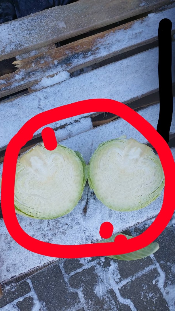 Kapusta !!!