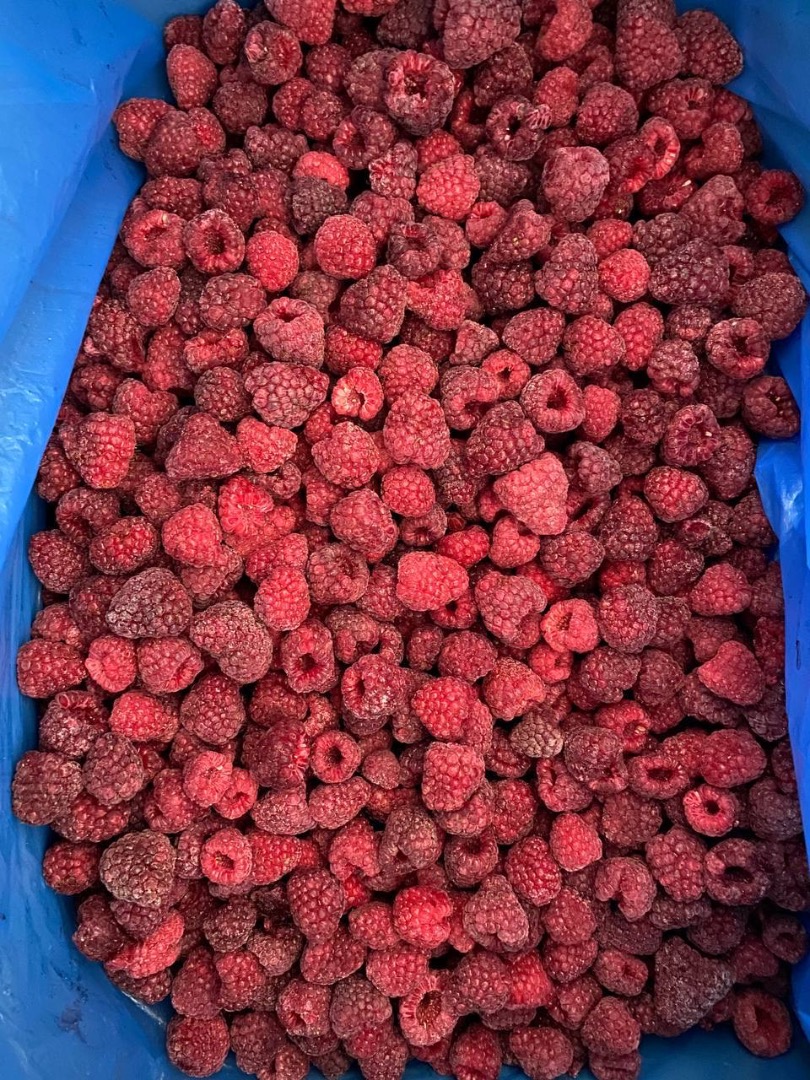 Najlepsze maliny IQF z naszą wysokiej jakości mieszanką 90/10