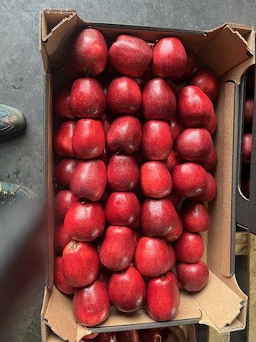 Sprzedam jabłko odmiany Red Delicious, Golden Delicious, Jonaprince, Jonagored, Idared, Gala, Mutsu