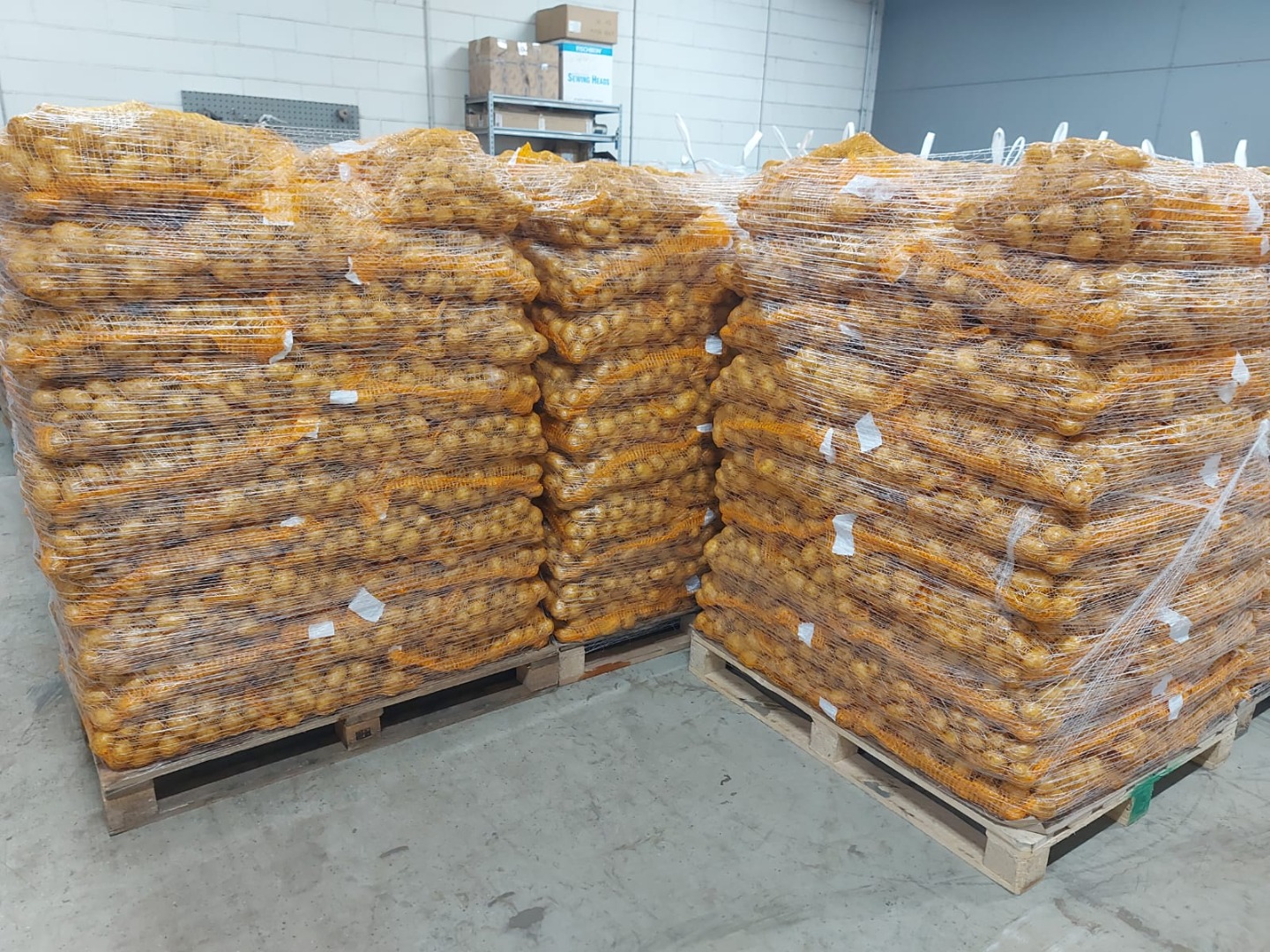 We have many seed size (30-45mm) potatoes for sale