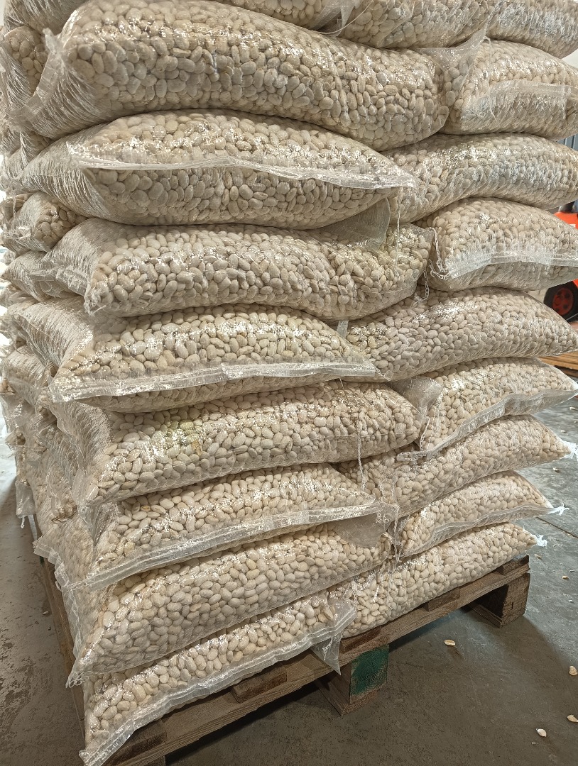 Sprzedam fasole jas karlowy, towar suchy do 16 % wilgotności, ładnie przebrany, pakowane w worki 10 kg, 25 kg, 50 kg lub BIG BAGI 1 tona