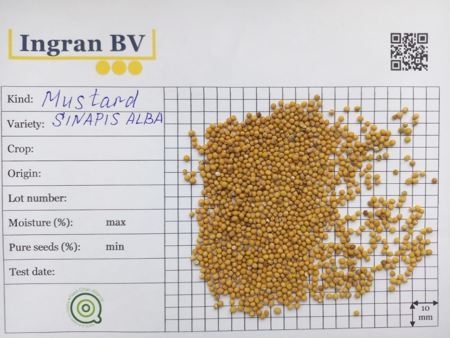 Nasza firma Ingran oferuje nasiona gorczycy brązowej (Brassica nigra) w big bagach, cena z dostawą, analizy Planton [adres e-mail]