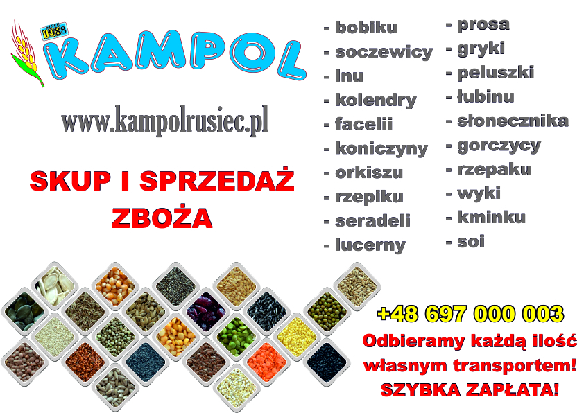 Kupię PROSO (żółte, białe, czerwone), GROCH, PELUSZKA, PSZENICA, JĘCZMIEŃ, FACELIA, KUKRYDZA DROBNA (żółta, czerwona, czarna, orange), SŁONECZNIK, ŁUBIN