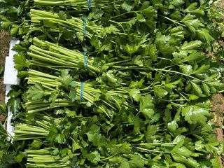 Dzień dobry, jesteśmy rolnikami, producentami i eksporterami pietruszki posiadamy