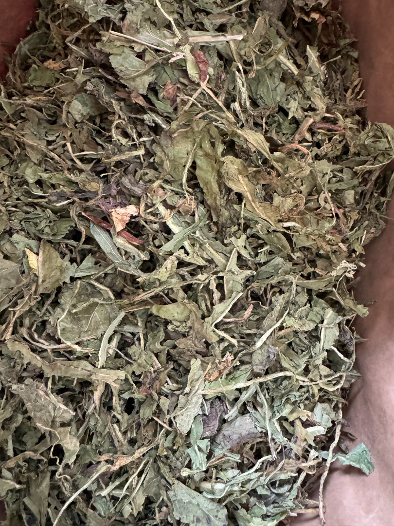 Sprzedam liść mniszka całego partia 3000 kg, pakowany w worki 8 kg