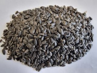 Słonecznik czarny/ Sunflower black Cena podana FCA Osina Mała,