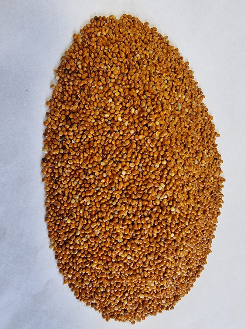 Proso czerwone/ Red millet Cena podana FCA Osina Mała, 98-358 Kiełczygłów czystość 99%, Sposób pakowania na życzenie klienta Cena do uzgodnienia i ostatecznego