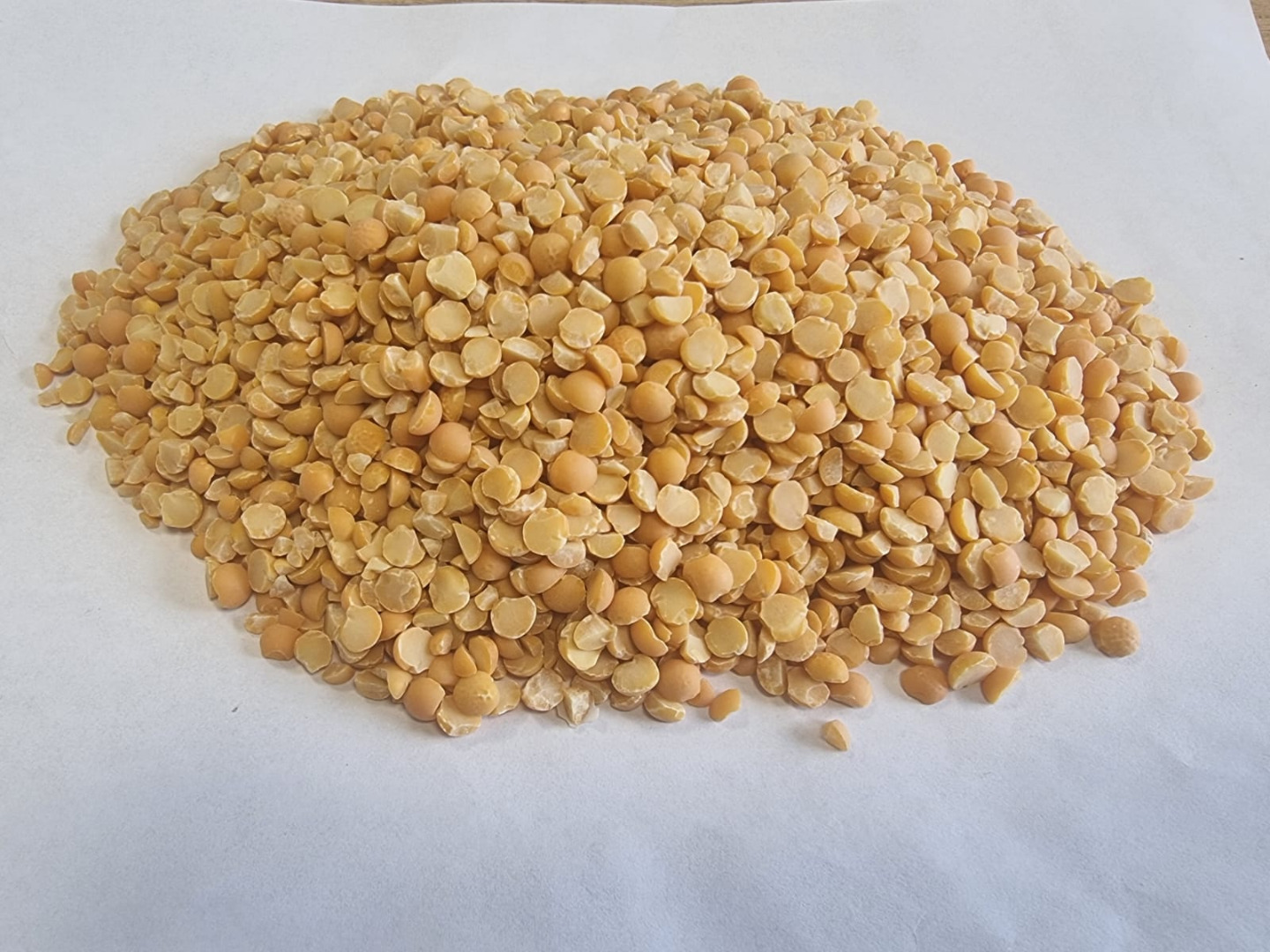 Groch żołty połowki/ Yellow split peas Cena podana FCA Osina Mała, 98-358 Kiełczygłów czystość 99%, Sposób pakowania na życzenie klienta Cena do uzgodnienia i