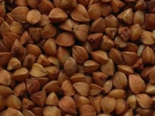 Kasza gryczana w grubszej fasoli, produkowana na Ukrainie-Rosji. Cena