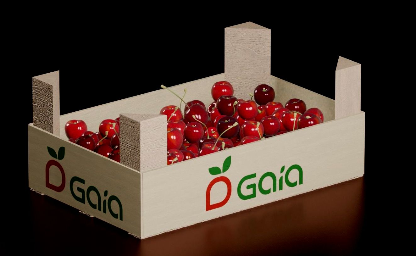 produkujemy i dystrybuujemy: czereśnie, śliwki oraz najsłodszą odmianę winogrona Moldova