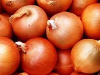 JESTEŚMY FIRMĄ SPECJALIZUJĄCĄ SIĘ W UPRAWIE I EKSporcie WYSOKIEJ