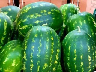 Arbuz. .z Maroka mamy też melony.