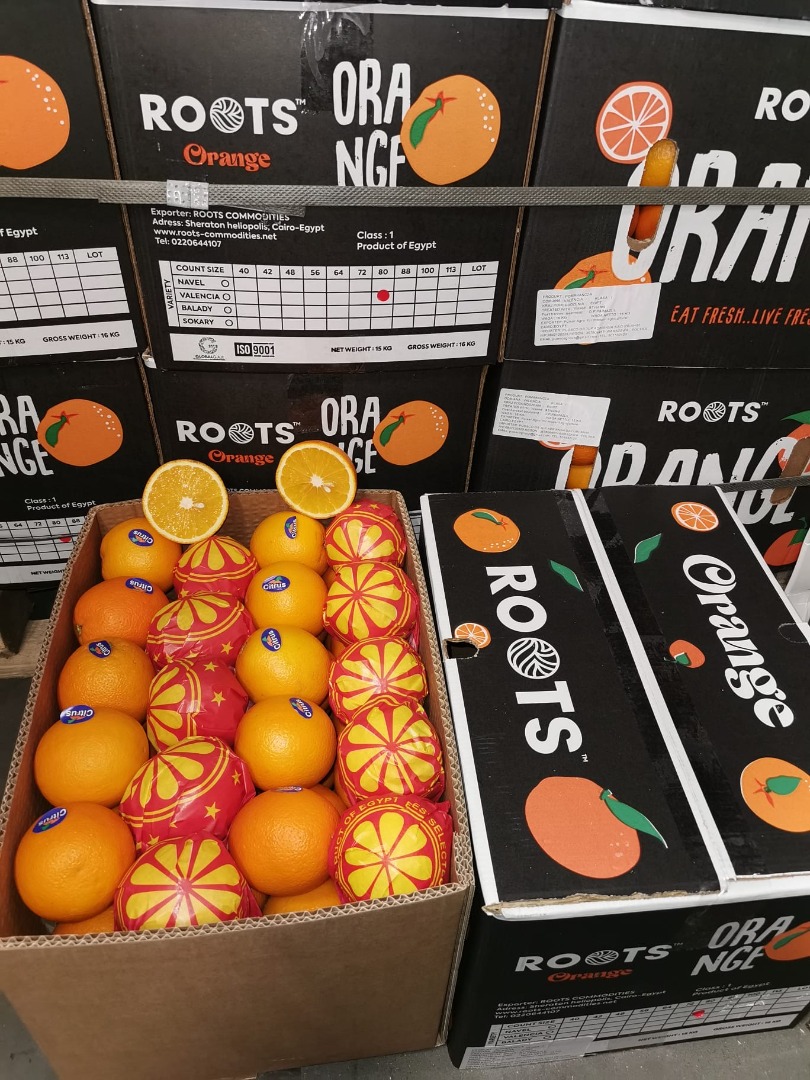 Pomarańcze Valencia z Egiptu Kaliber 64, 72, 80, 88+\ Pakowane w plastikowe skrzynki Dostępne 100 kontenerów Sprzedaż hurtowa tylko cały transport