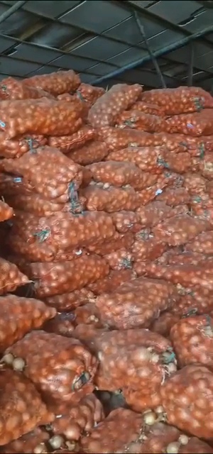 Sprzedamy cebulę żółtą obecnie na dziś 500 ton, kaliber 5-7, sortowana, bez zgnilizny, pakowana w worki po 35kg lub big bagi
