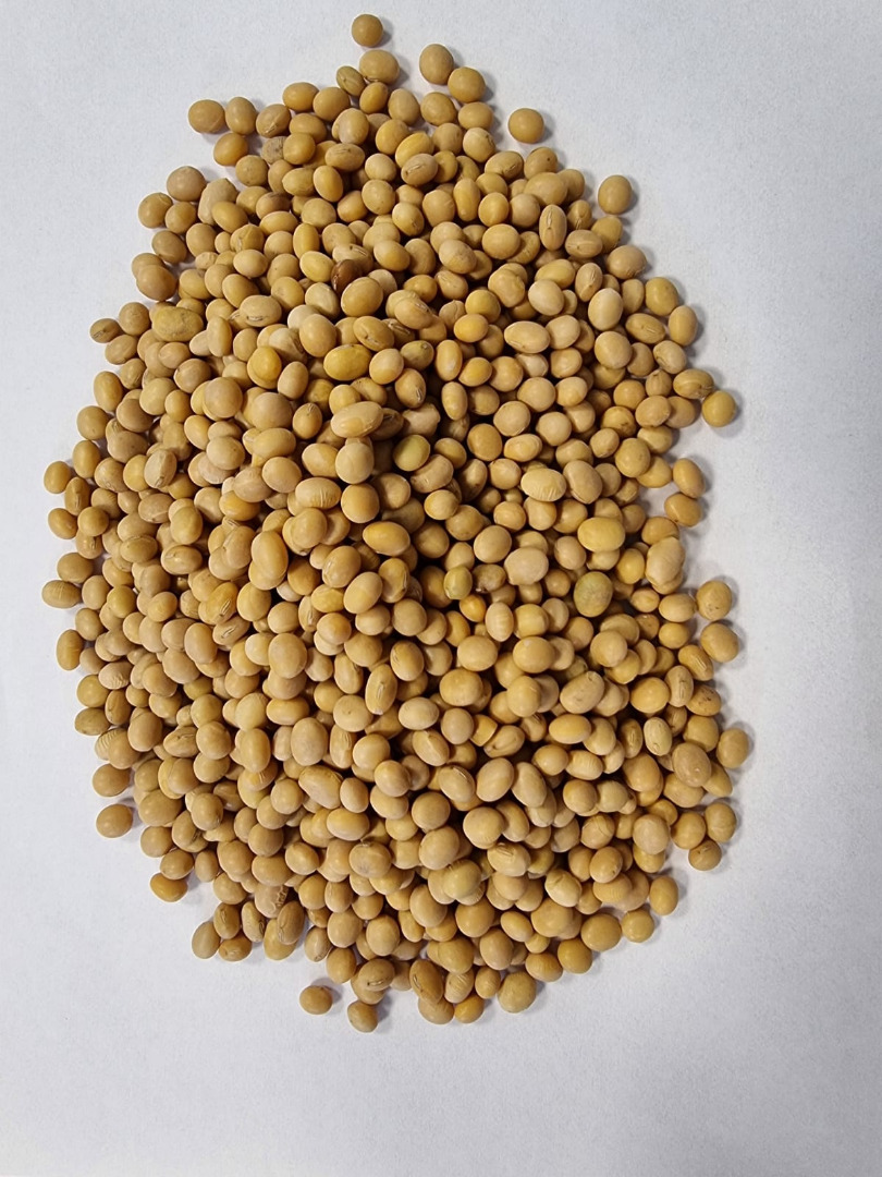 Oferta na soje paszową Cena do uzgodnienia, oferta na 200 ton Offer for fodder soya beans Price negotiable offer for 200 tonnes