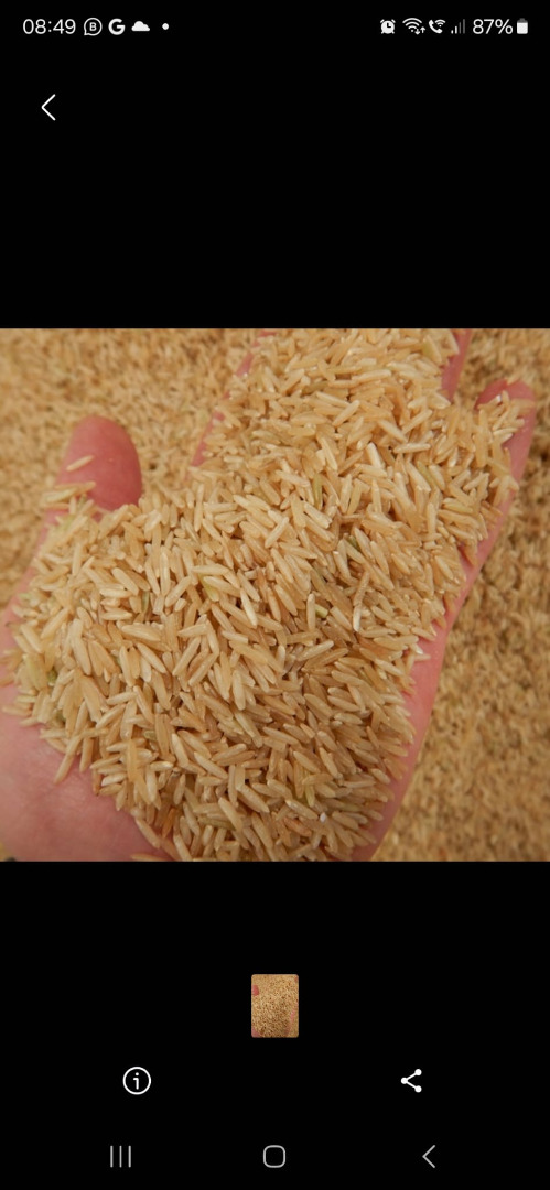 Basmanti rise / Ryż basmanti Oferta na ryż basmanti, 150 ton, cena do ustalenia, zapraszam do kontaktu Ofert for Basmanti Rice, 150 tons, price to be agreed