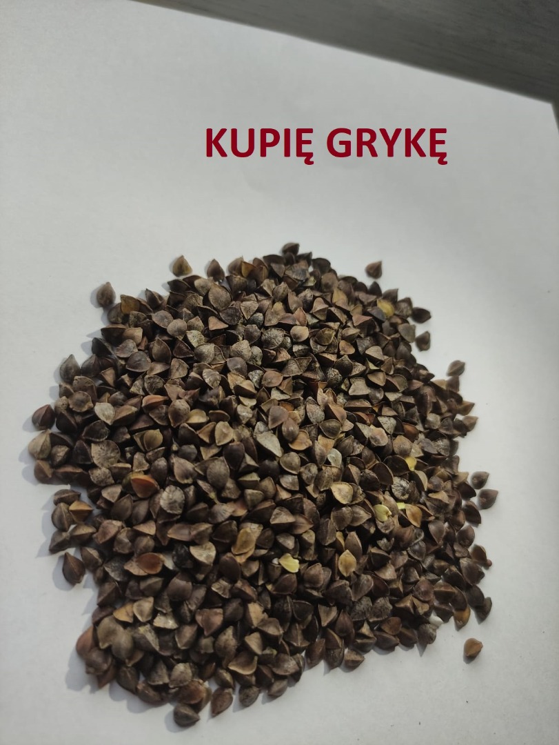 Witam, kupię gryke i proso żółte pod produkcję