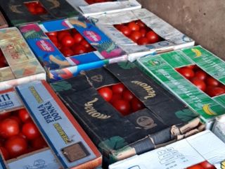 Szanowni Klienci, Pragniemy poinformować, że prowadzimy sprzedaż świeżych ogórków,