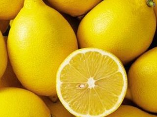 Około 25 000 kilogramów dobrej wielkości cytryny Verna dostępnych