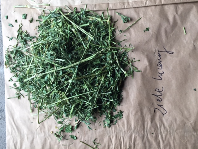 Sprzedam ziele lucerny suszone na suszarni dla zwierząt domowych sianko pakowane w woreczki foliowe 1 kg