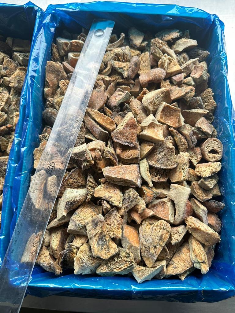 Rydz mrożony kostka klasa ll przemysłowa - 7 500 kg netto Kartony a' 7 kg