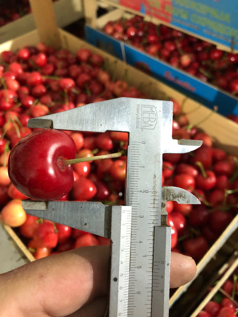 Sprzedam mrożone wiśnie z pestkami i szypułkami
