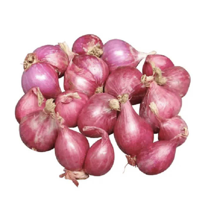Hurtownia świeżej cebuli / cebuli białej - Wielka wyprzedaż małych cebul Styl: Świeży Typ: Cebula Rodzaj produktu: Warzywa liliowate Typ uprawy: Organiczne
