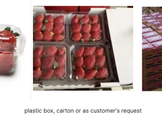 Wielka Wyprzedaż - Strawberry Global Gap bezpośrednie świeże truskawki