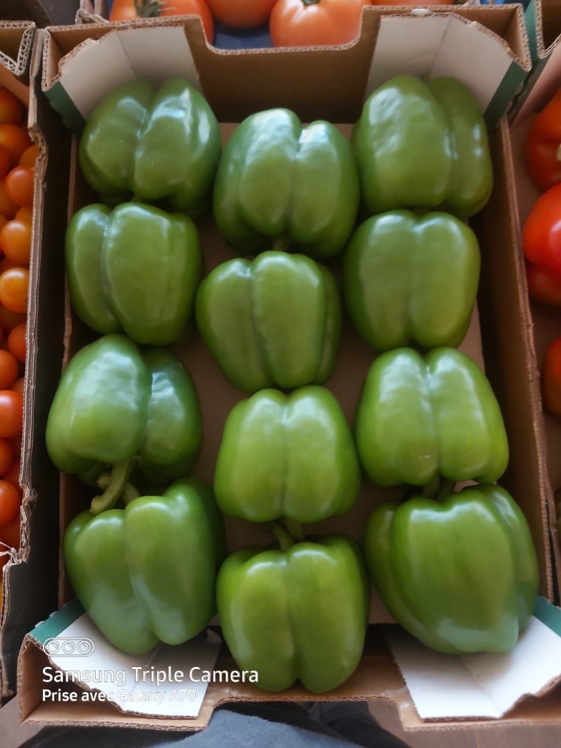 Papryka kalifornijska z Maroka