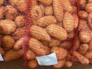 Ziemniaki Spunta, pochodzenia marokańskiego. Opakowania: worki 10/15/25kg, Big Bag