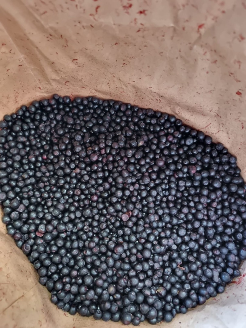 We offer Frozen Wild blueberries LT Orginal : Lithuania the ecologically cleanest region in Lithuania - Dzūkija National /PAN Park is[phone number] of 13 PAN