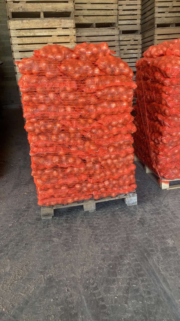 Sprzedam cebulę wyprodukowaną w Serbii w 2024 roku, pakowaną na palecie powyżej 10 kg/1 tonę
