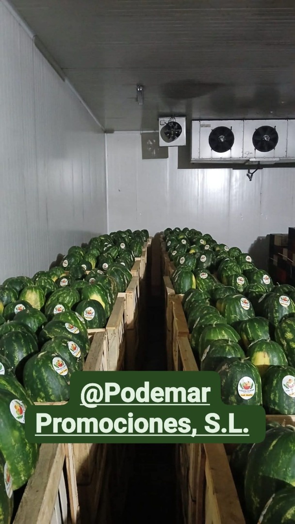 Świeże awokado Hass, pochodzenie Peru lub Kolumbia Dostępne wszystkie kalibry Opakowanie: karton 4 kg lub plastikowe pudełko 10 kg Aby uzyskać więcej