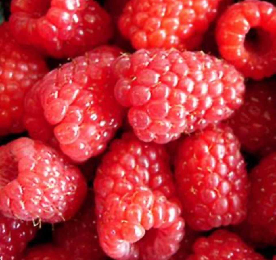 Sprzedam maliny mrożone w worku 25kg 80/20