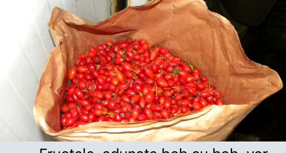 Sprzedam maki mrożone! Jakość gwarantowana 40 ton, pakowane w worek papierowy 25 kg