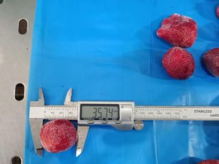 IQF Frozen Strawberry Data produkcji: kwiecień-maj 2024 r. Klasa: