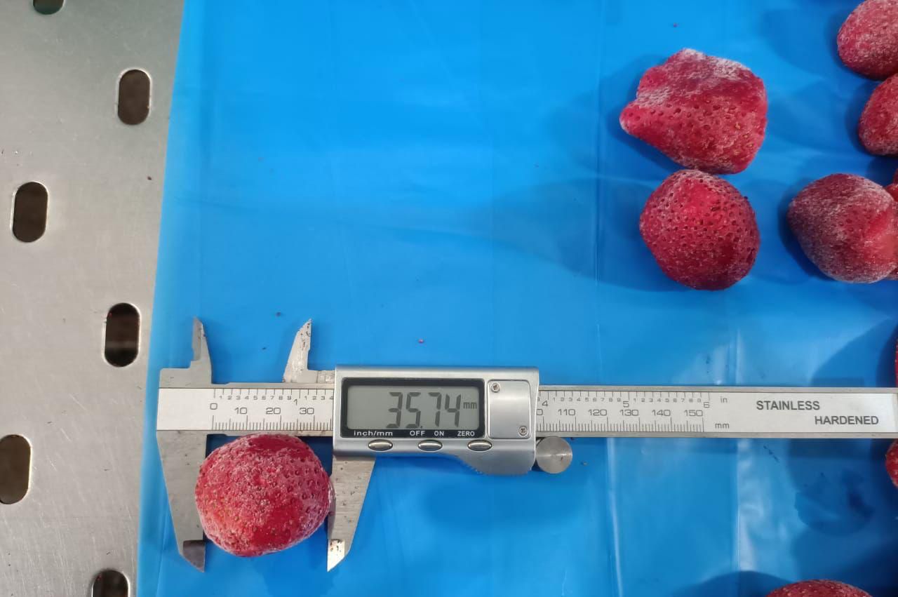 IQF Frozen Strawberry Data produkcji: kwiecień-maj 2024 r