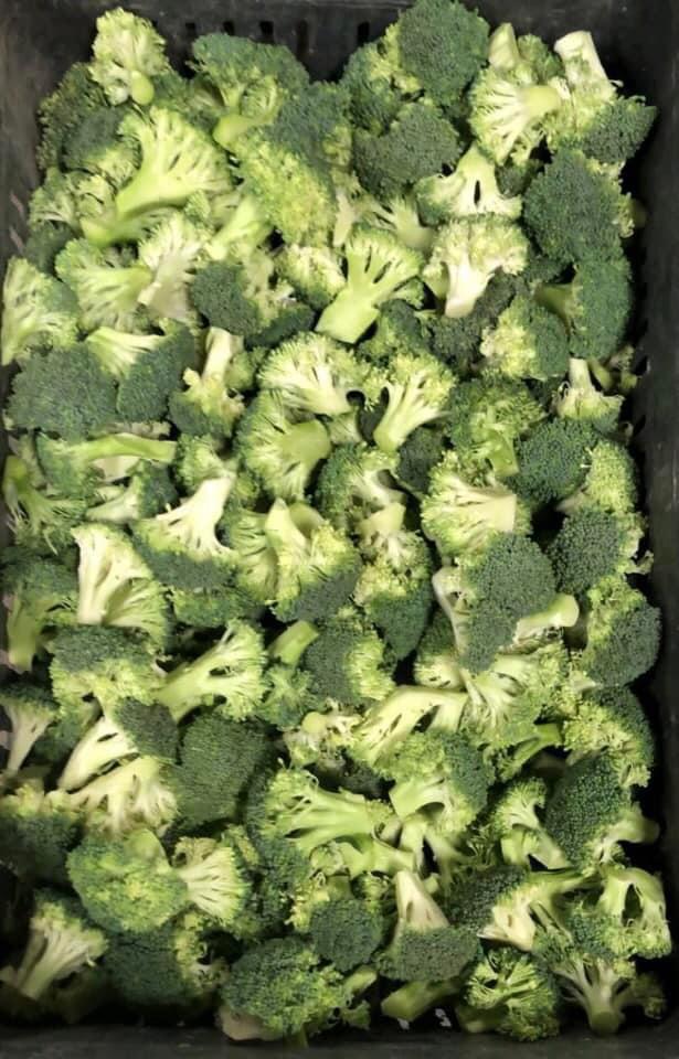 IQF Frozen Broccoli Florets: Klasa: A Rozmiar: 3-6 CM (selektywny) Pakowanie: 10 KG karton luzem pakowany w torbę Ilość na FCL: 25 ton bez palet (23 ton na