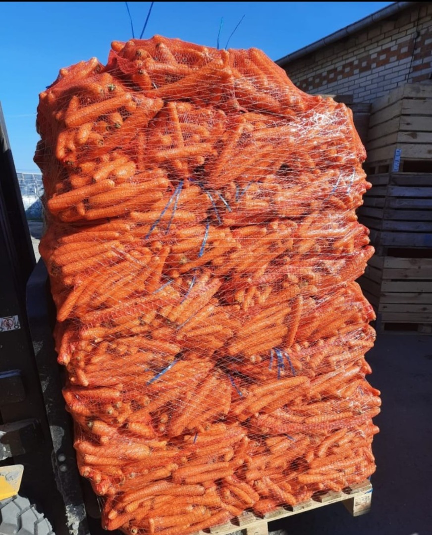 Marchew myta, kaliber 2-4, oczko 10 kg, sprzedaż od 22 ton, cena zawiera dostawę W razie pytań proszę o kontakt M[adres e-mail]