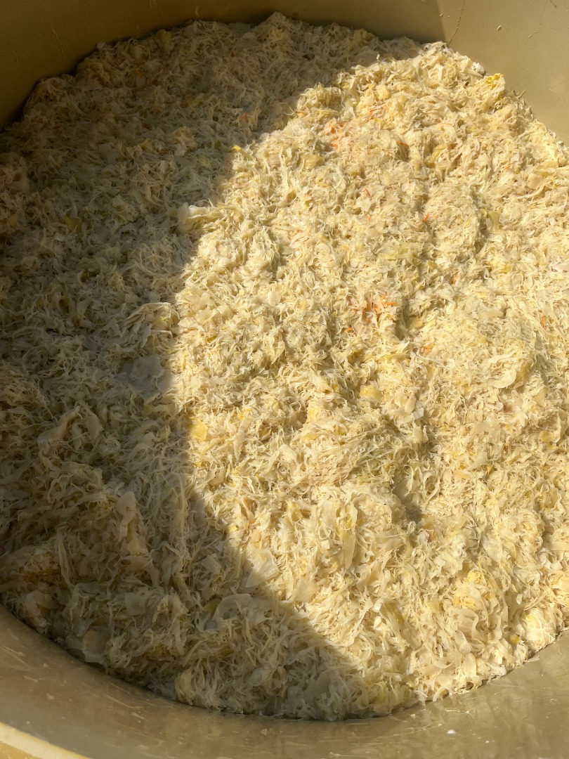 Witam, Mam na sprzedaż kapustę kiszoną ilość 50 ton