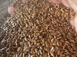 Firma Exporter Trade Flax oferuje len o jakości 99,9%.