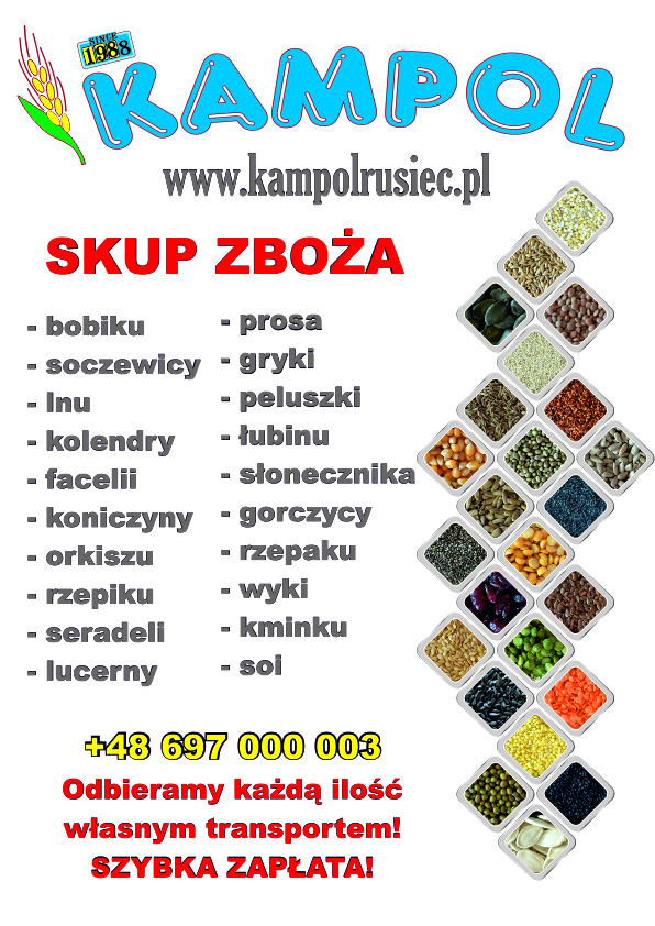 Kupię: JĘCZMIEŃ paszowy oraz konsumpcyjny, PSZENICĘ, GROCH, PELUSZKA, PSZENICA, PROSO (żółte, białe, czerwone), FACELIA, KUKRYDZA DROBNA (żółta, czerwona
