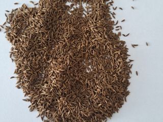 Sprzedam kminek tegoroczny,ilosci tirowe,w big-bagach,odbior na Litwie