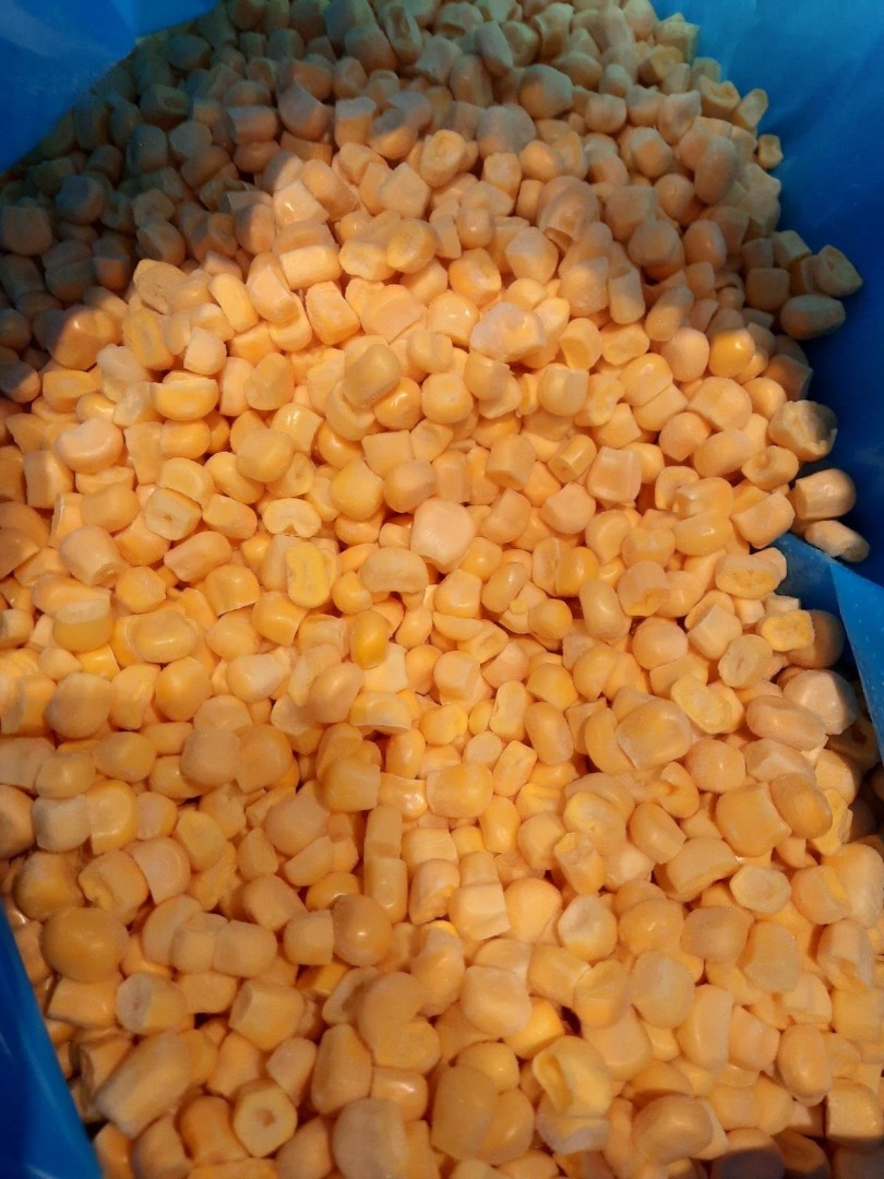 produkt eksportowy mrożonej kukurydzy iqf nowy sierpień miesiąc 2024 rok 1 kg - pudełko do pakowania 0,75 euro 10 kg i inne mrożone produkty iqf mogą być
