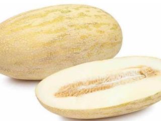 Dzień dobry. Sprzedamy melony. Odmiana- Torpedo. Import Uzbekistan. Ilości